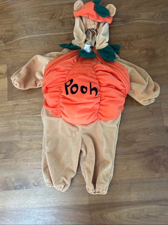 Disney Other - Disney Pooh Pumpkin Costume - Orange, Tan & Green